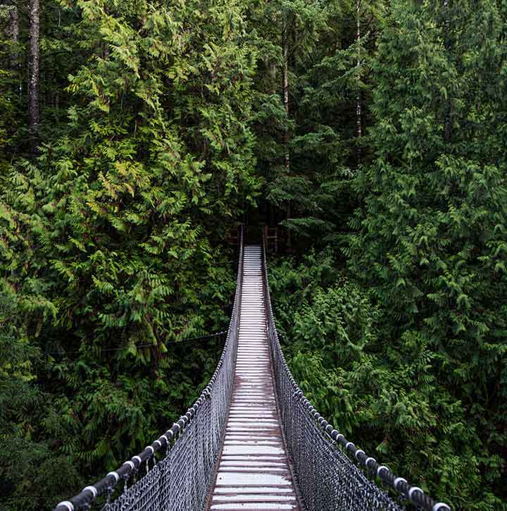 North Vancouver Bridge