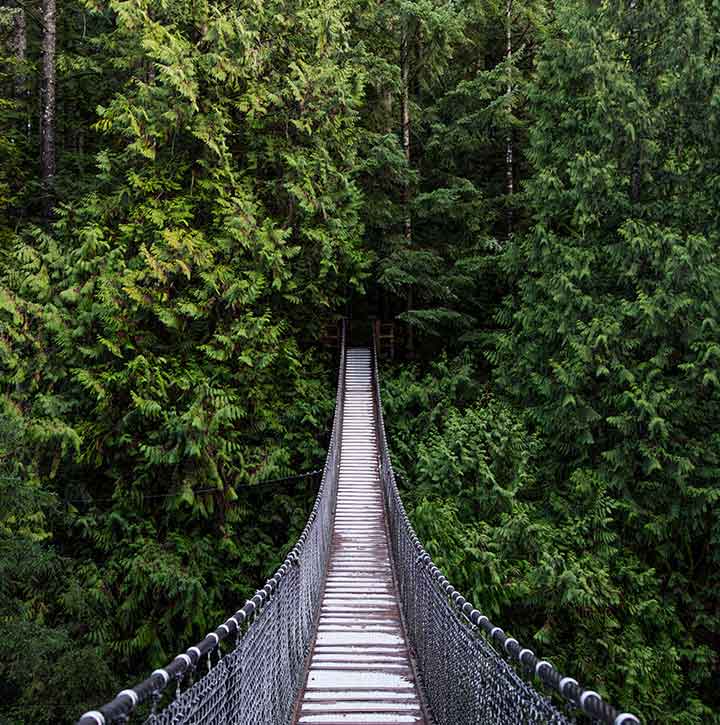 North Vancouver Bridge