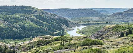 Marketing for Red Deer Alberta