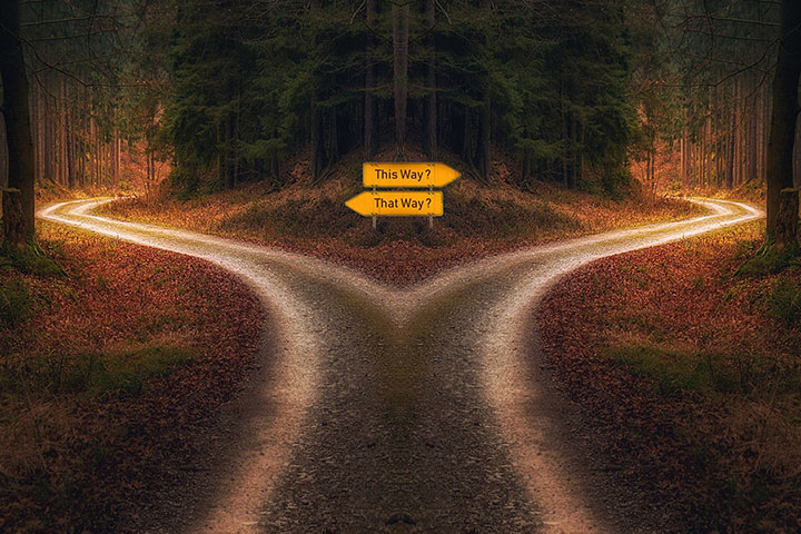 A fork in the road with signs pointing in each direction.