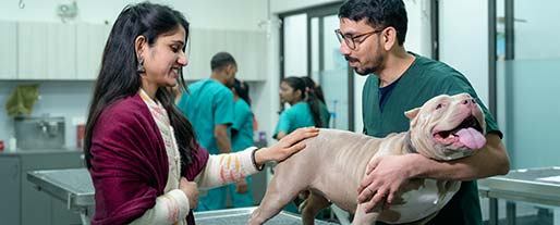 Veterinary Clinics